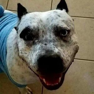 Meet your Posher, Cynde